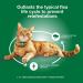 Advantage XD Flea Prevention for Small Cats (1.8-9 lbs) - Long-Lasting Treatment - 2 Pack - Buy Online on GoSupps.com
