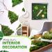 DUSPRO Moss Mat 2Pcs - Self Stick Moss for Crafts & Decor - 13x9.5 Inches - Ideal for Moss Wall Decor & Wedding Party - Green Sheet Moss - Buy Online on GoSupps.com