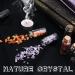 Set of 25 Crystal Gemstones in Glass Bottles - Natural Reiki Healing Stones for Meditation Therapy and Witchcraft - Buy Online on GoSupps.com