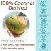 Premium MCT Oil C8 & C10 | Non-GMO Coconut | Unflavored | 32 fl oz - Perfect for Coffee & Energy | by as-is - Buy Online on GoSupps.com