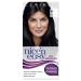 Clairol Nice'n Easy No Ammonia Hair Dye 83 Natural Black 83 Natural Black 1 Count (Pack of 1)