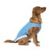 Canada Pooch Dog Cooling Vest - Evaporative Cooling Vest for Dogs with Breathable Mesh Material & Reflective Lining, Adjustable Dog Cooling Vest Great for Dogs 18 (17-19" Back Length), Aqua 18 (17-19" back length) Aqua