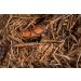 Galapagos (05054 Cypress Tank Mulch Forest Floor Bedding 8-Quart Natural - Buy Online on GoSupps.com
