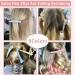 Ayesha 16 Pcs Alligator Hair Clips for Styling - Salon Quality, Plastic Duck Billed Hair Clips for Women & Girls - Floral Design - Buy Online on GoSupps.com