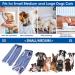 Cobee Dog Recovery Suit - Abdominal Protection for Male & Female Dogs | Surgical Cuddly Suit for Small & Medium Dogs (L-Size) - Ideal After Surgery - Buy Online on GoSupps.com