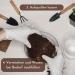 Buy ProFlora Coconut Soil Terrarium Substrate - Biodegradable Peat-Free Coconut Fiber (8 Pieces) for Eco-Friendly Planting - International Shipping Available - Buy Online on GoSupps.com