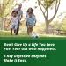 Get Your Greens Super Greens Powder - 10 Green Juice Blend, 8 Antioxidants, 6 Enzymes, 10B Probiotics - Delicious & Easy to Mix - Non-GMO & Sugar Free - Buy Online on GoSupps.com
