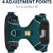 RUFFWEAR Front Range Reflective Padded No Pull Dog Harness XXS - Tumalo Teal | Best Fit for Small Dogs - Buy Online on GoSupps.com