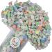 All Flavor Gourmet Salt Water Taffy (Assorted, 5 LB) Assorted 5 Pound (Pack of 1)
