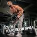 Yes4All Tricep Press Down Cable Machine Attachment Set with Double D Handle and Tricep Rope - Buy Online on GoSupps.com