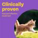 Bob Martin Clear Wormer for Cats - 2 Tablets | Clinically Proven Treatment for Kittens - Buy Online on GoSupps.com