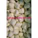 Buy 5 kg Dishwasher Tabs - Water-Soluble Film Multi-Functional & Quality Rinse for All Dishwashers | Citrus Scent | International Shipping Available - Buy Online on GoSupps.com