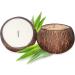 Jasmine Scented Coconut Bowl Candle | 14oz Premium Soy | Eco-Friendly Aromatherapy & Home D cor | Wood Wicked Natural Coconut Shell Candle - Buy Online on GoSupps.com