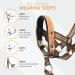 Alpha Boy Dog Training College: Comfortable Gentle Dog Halter Harness for All Breeds - Real Leather Easy to Use One-Piece Design with Quick Lock Buckle (L) - Buy Online on GoSupps.com