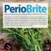 Nature's Answer PerioBrite Cool Mint Toothpaste 4-Ounce (Pack of 2) | Fluoride-Free with CoQ10 & Folic Acid | Whitens Teeth, Freshens Breath, Removes Plaque | Minimizes Dry Mouth - Buy Online on GoSupps.com