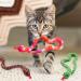 Interactive Snake Catnip Toys for Indoor Cats - Set of 3 Chew Toys for Dental Health and Playtime - Ideal Gift for Cat Lovers - Buy Online on GoSupps.com