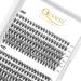 Individual eyelashes QUEWEL cluster lashes 240 piece of single eyelash extensions 0.07c curl 30d+40d single cluster eyelashes Natural appearance eyelash extension Mix8-14mm at home (30d+40d 0.07c Mix8-14mm) 1 piece (1 Pack) 30d+40d-07c mix 8-14mm