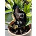 Personalised Cat Memorial Plaques Gift Pet Dog Rabbit Garden Sign Grave Marker Kitten - Buy Online on GoSupps.com