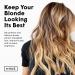 dpHUE Cool Blonde Shampoo 8.5 oz - Purple Toning Shampoo for Color-Treated Hair - Buy Online on GoSupps.com