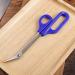 Frcolor Long Handle Toenail Scissor Clippers for Thick Nails - Easy Reach Toenail Scissors for Elderly - Ergonomic Cuticle Trimmer for Women and Men - Buy Online on GoSupps.com