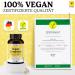 Vegan Complex Vitamins - All-in-One Vegan Multivitamin | 4-Month Supply | High Dose B12 D3 K2 B9 B6 & More | 120 Capsules - Buy Online on GoSupps.com