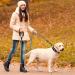 Haapaw Reflective Dog Collar - Padded Neoprene Nylon for Small & Medium Dogs - XS Pink - Buy Online on GoSupps.com