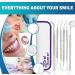 6Pcs Teeth Cleaning Plaque Removal Kit for Personal Oral Care - Buy Online on GoSupps.com