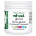 Prairie Naturals Organic Fermented Wheatgrass Juice Powder - 150 Gram