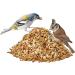 Paul's Mill Premium All-Year Wild Bird Feed - High Fat Content 10kg Pack for Year-Round Feeding - Buy Online on GoSupps.com