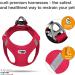 Buy 3XS Red Vest Harness - Air-Mesh with D-Ring Buckle for Pets | International Shipping Available - Buy Online on GoSupps.com