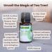 Rocky Mountain Oils Organic Tea Tree Essential Oil - 100% Pure & Natural Aromatherapy for Skin Hair & Diffuser - Therapeutic Grade USDA Approved - Buy Online on GoSupps.com
