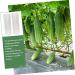 Milisten 10 Pcs Vegetable Shaping Fruit Cucumber Garden Vegetable Gourd Suite - Buy Online on GoSupps.com