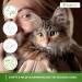 bogacare Perfect Eye Cleaner for Cats - Buy Online on GoSupps.com