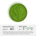 Matcia Therapy 60g | Premium Bio Matcha Tea Powder | 60mg/g EGCG | Boosts Immunity & Energy | Authentic Japanese Green Tea - Buy Online on GoSupps.com