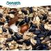 Donath Complete Mix 9kg - High-Quality Insect Fat Wild Bird Feed | Balanced Year-Round Mix from Southern Germany - Buy Online on GoSupps.com