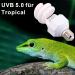Dernord UVB & UVA Light Bulb 5.0 - 15W Compact UV Lamp for Lizards Geckos Turtles & Snakes - Ideal for Reptile Habitat - Buy Online on GoSupps.com