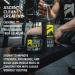 Ascent Clean Creatine Monohydrate Powder | 5G Creapure Creatine Supplement | Unflavored | 45 Servings - International Shipping - Buy Online on GoSupps.com