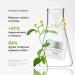 Buy bareMinerals Ageless Phyto-Retinol Neck Cream | Vegan Anti-Aging & Anti-Wrinkle Formula with Plant-Based Retinol & Hyaluronic Acid - International Shipping Available - Buy Online on GoSupps.com