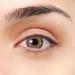 Madrid VIP gray contact lenses Super natural design with ring i annual lenses colored without strength (2 lentils) + contact lens container tweezers and inserts with soft silicone