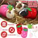 4-Piece Guinea Pig Outfit Set: 2 Clothes & 2 Mini Hats with Adjustable Strap - Frog Style Guinea Pig, Hamster, Bunny Warm Vest & Hand-Knitted Hat Bundle - Buy Online on GoSupps.com