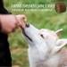 Schn ffelfreunde Magen Darm - Dog I Digestive Supplements for Dogs - Tablets for Digestive and Gastric Support - Made in Germany (300g) - Buy Online on GoSupps.com