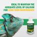Zolcal-F Feed |Liquid Calcium & Vitamin D3 Supplement for Birds Reptiles & Rabbits | Water-Soluble | 120ml Other 120 ml (Pack of 1) - Buy Online on GoSupps.com