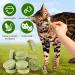 90g Cat Grass Treats Cat Grass Teething Stick for Hairball Remove and Teeth Cleaning Edible Cat Grass Stick Snack - Buy Online on GoSupps.com