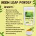 neotea Neem Leaves Powder | 100% Pure Azadirachta Indica Leaf Powder | Natural Herbal Powder for Skin & Hair | Non-GMO | No Preservatives or Additives | Chemical-Free & Vegan (100 GM(3.52 OZ)) - Buy Online on GoSupps.com