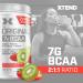 Scivation XTEND Original BCAA Powder | Sugar Free Post Workout Muscle Recovery Drink with Amino Acids | 7g BCAAs for Men & Women | 30 Servings Strawberry Kiwi Strawberry Kiwi 30 Servings (Pack of 1) - Buy Online on GoSupps.com