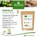 Triphala Tablets 1000mg (360 tabs) - Ayurvedic King s Fruit Amla Hiritaki Bibhitaki - All-Natural Quality by MoriVeda - Buy Online on GoSupps.com