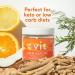 Vegan Energy Pills with Vitamin B12 and MCT Oil | Non-GMO Energy Supplement for Vitality | Caffeine-Free Softgels for Natural Boost - Buy Online on GoSupps.com
