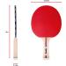 Franklin Sports Ping Pong Paddle Set with Balls - 2 & 4 Player Table Tennis Kit - Buy Online on GoSupps.com