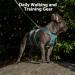 Huntboo No Escape Dog Harness Escape Proof Harness Fully Reflective Harness with Padded Handle Breathable Durable Adjustable Vest for Medium Dogs Walking Training and Running Gear (Teal M) Medium(Pack of 1) Blue - Buy Online on GoSupps.com