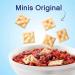 Premium Original Mini Saltine Crackers 11 oz - Savory Snack Essential - Buy Online on GoSupps.com
